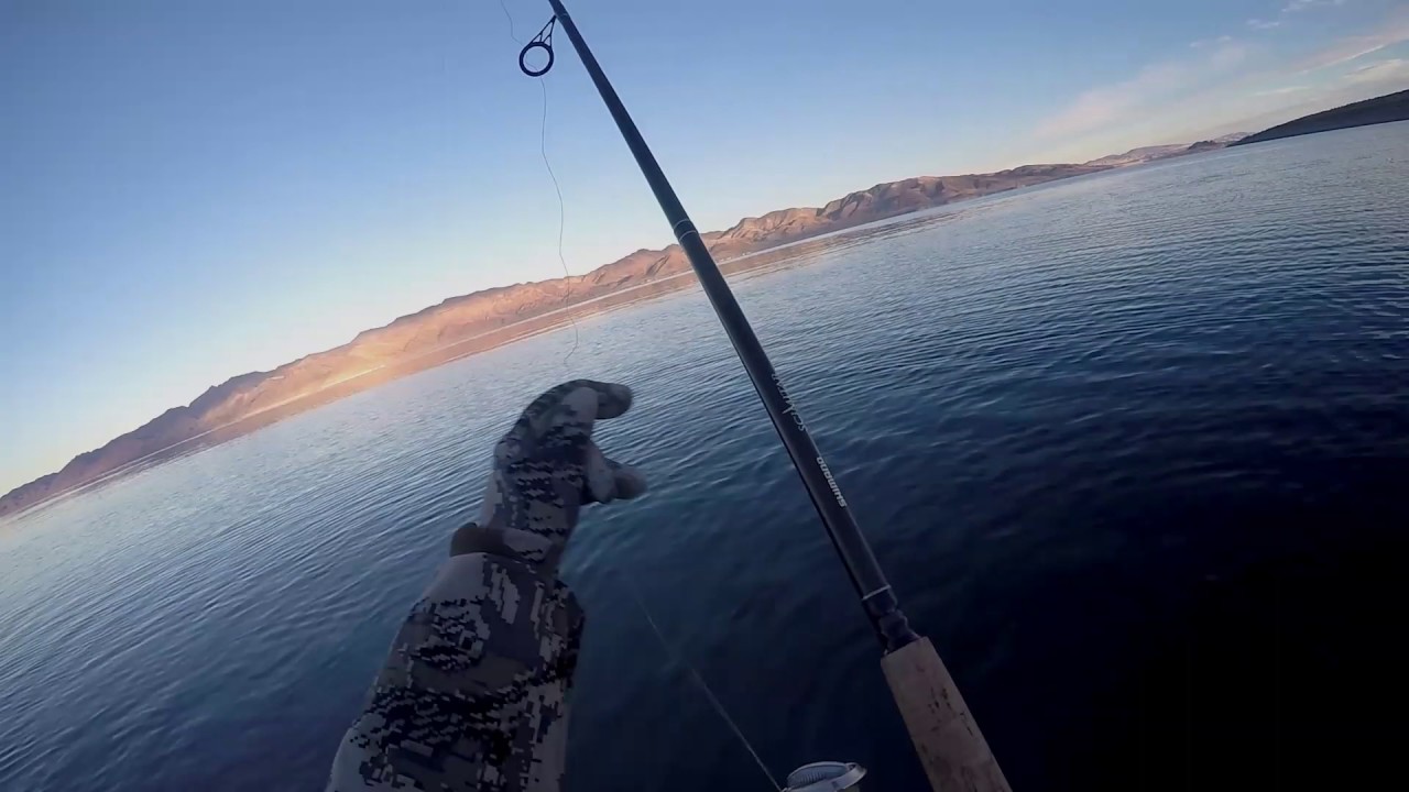 Unlock the Cost of Pyramid Fishing License Today!