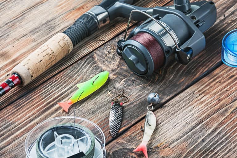 Who Issues Fishing Licenses