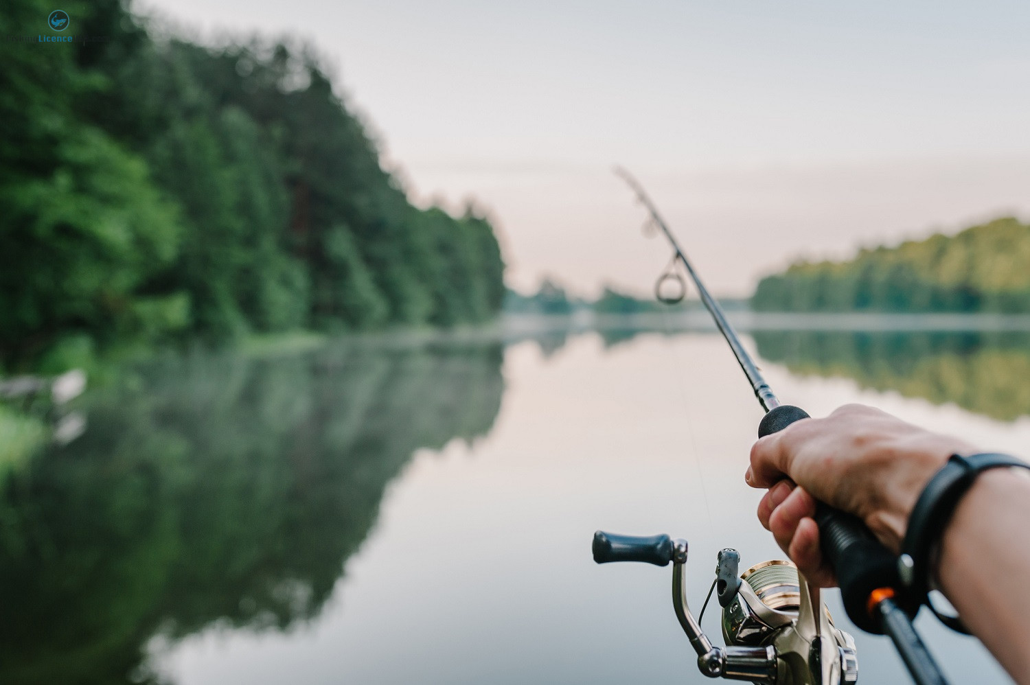 How to Get Your North Carolina Fishing License Online in 2026