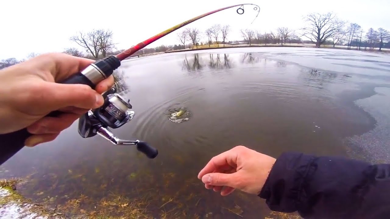 Minnesota Fishing License Online – Hassle-Free Process