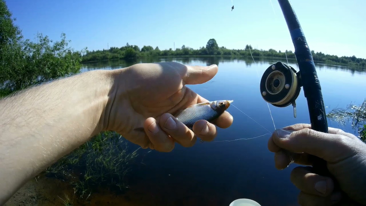 Check Your Fishing License Status: Verify Your Fishing Credentials Today