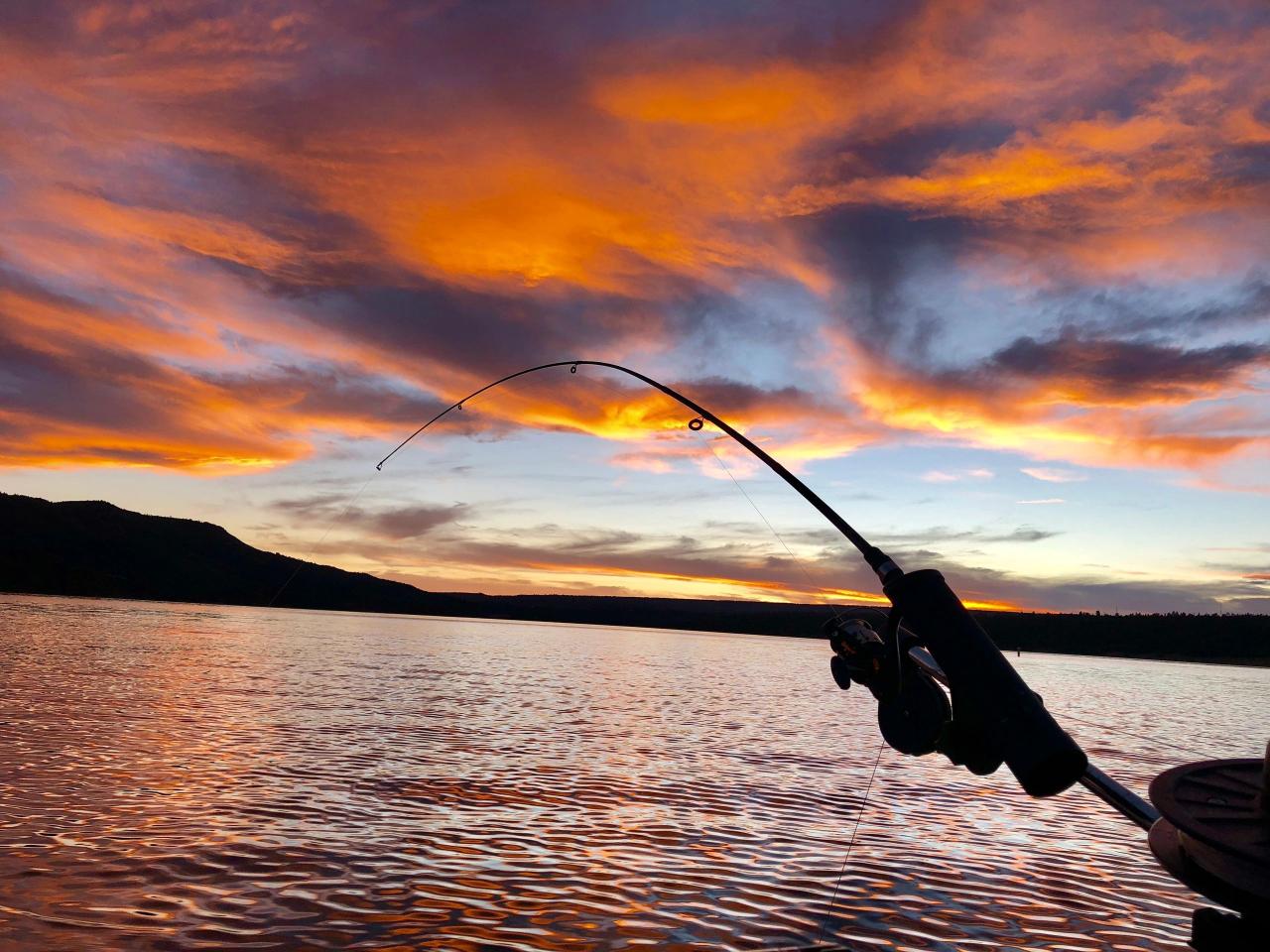 Cost of Fishing Licenses in California