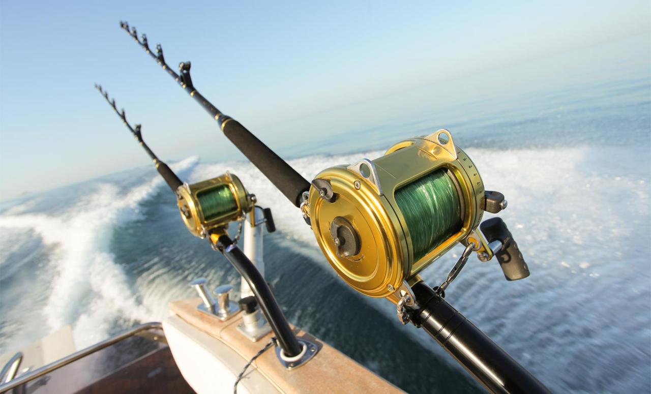 Do You Need a Fishing License in Florida? Find Out Here!