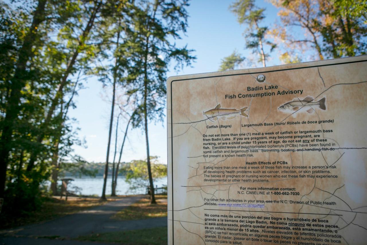 Get Hooked: Buy Your Alabama Fishing License Online Now!