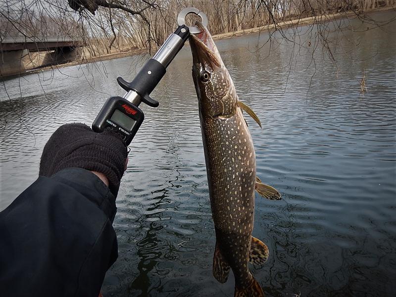 Get Hooked Up: Your Guide to Buying Alabama Fishing Licenses