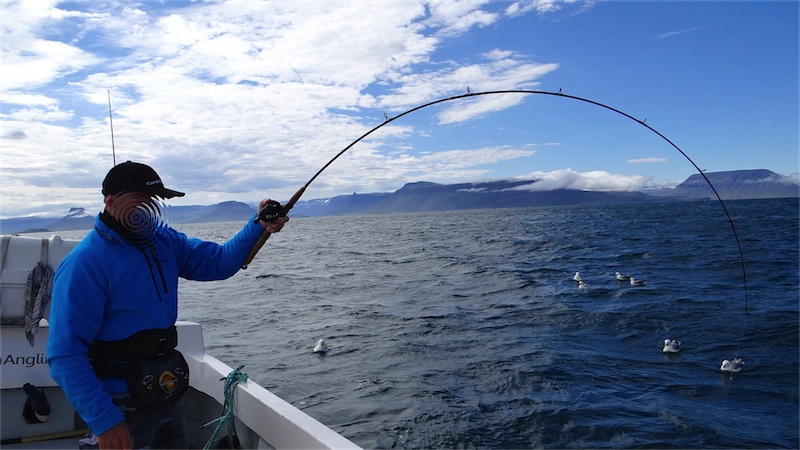 Fishing License in Fresno: Where to Buy and How to Get Started