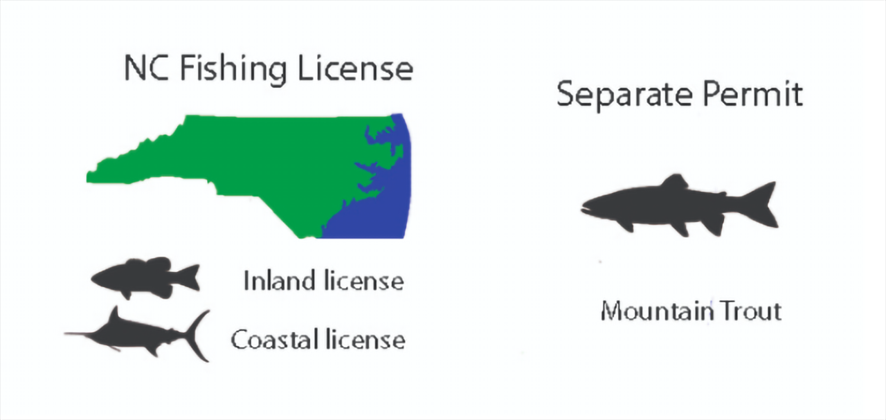 North Carolina Fishing License Online Today in Just a Few Clicks