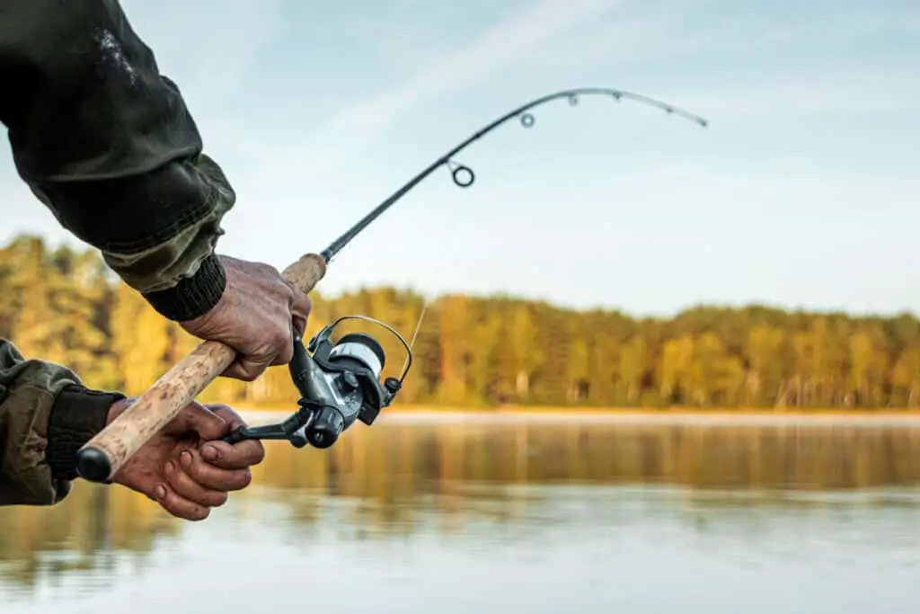 Michigan Fishing License Online in Emmet County