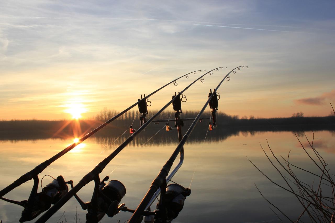Michigan Fishing License Online Now: Guide
