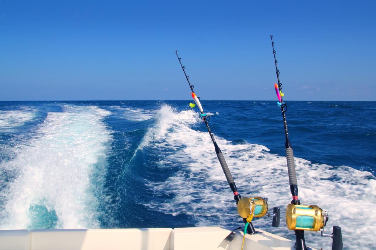 Florida Fishing License Fees: Costs for Residents & Non-Residents