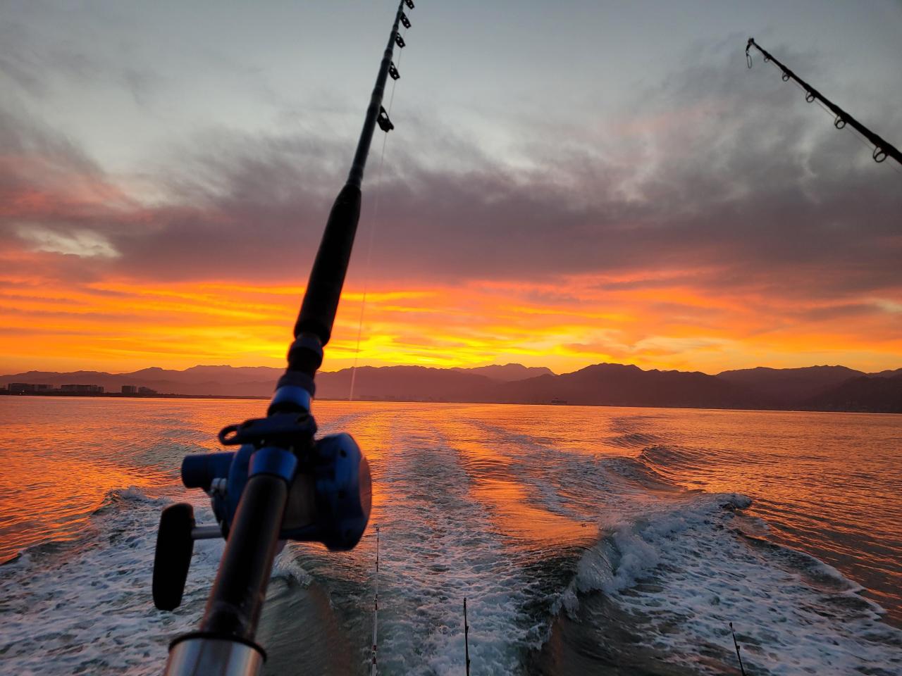 Is Your Wisconsin Fishing License Expired? Renew Now!