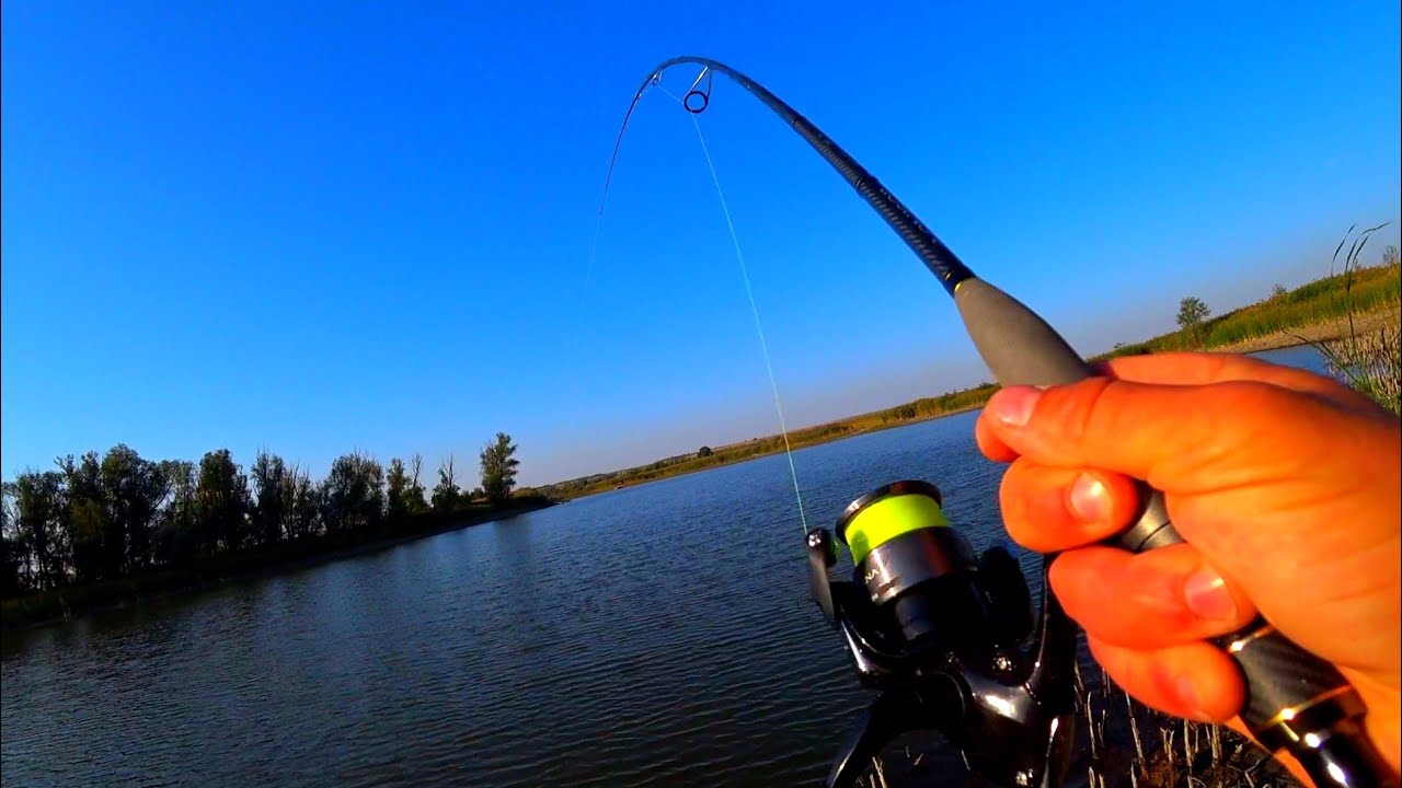 Mississippi Fishing License Fees