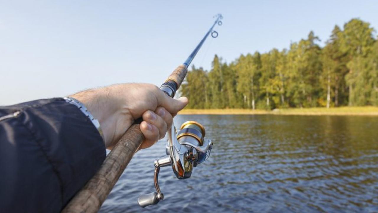 State Park Fishing: License Required or Risk the Consequences