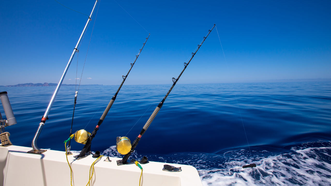 Lost Your Alabama Fishing License? Recover It Quickly in Just a Few Simple Steps