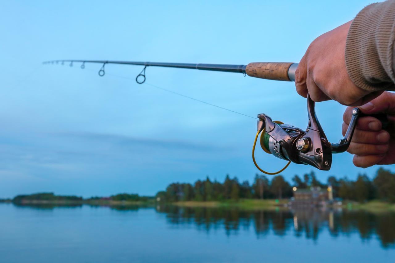 Ultimate Guide: Do You Need a NY Fishing License?