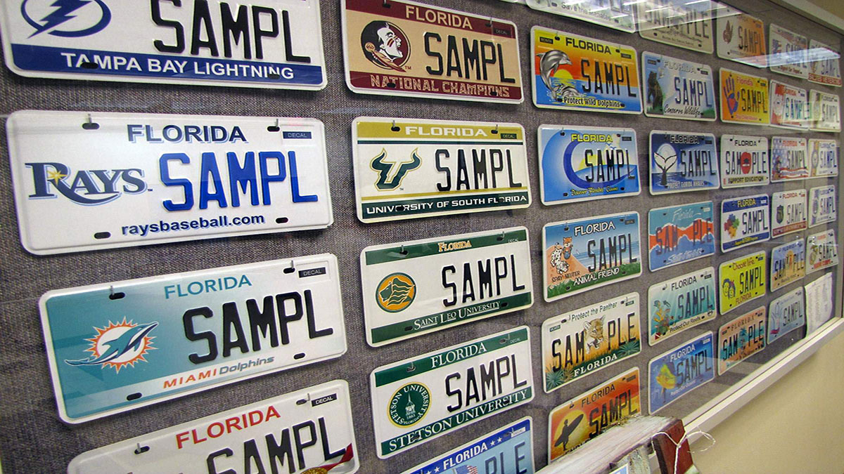 Minnesota: The State That Put a Big Fish on Its License Plate – An Angler’s Paradise