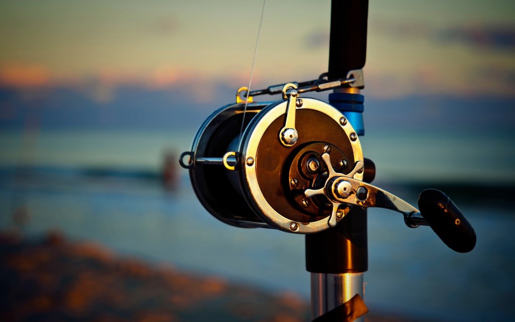 Academy Sports Fishing License: Convenience & Expertise