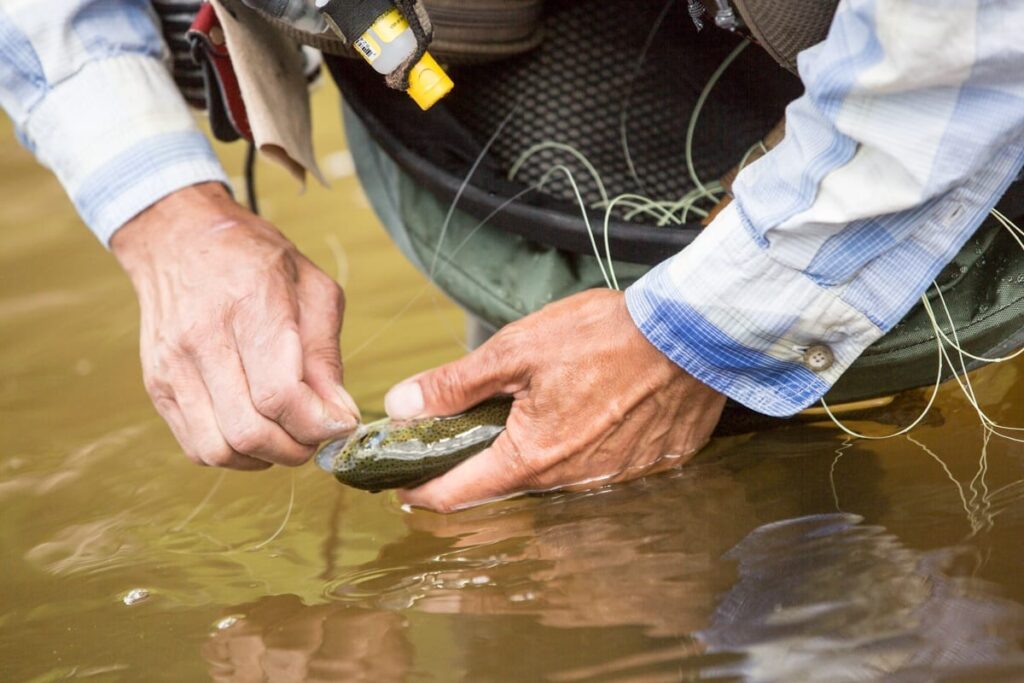 Buy Fishing License at Safeway: Quick and Convenient Process
