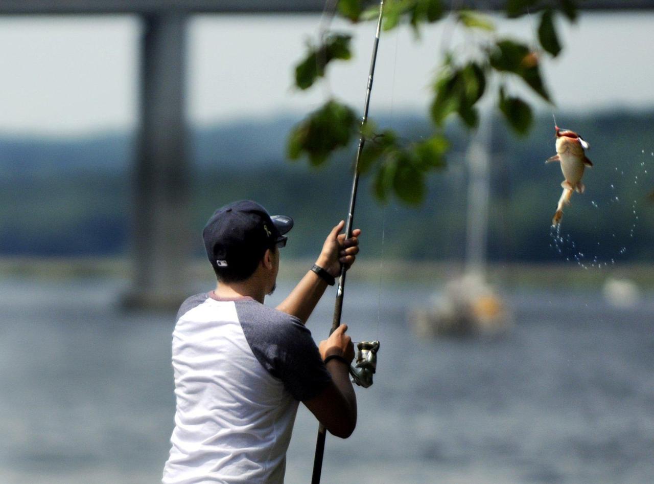 Connecticut Fishing License