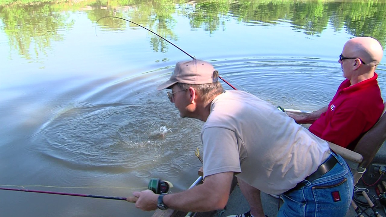 Unlocking the Materials Used in Vintage Hunting and Fishing Licenses