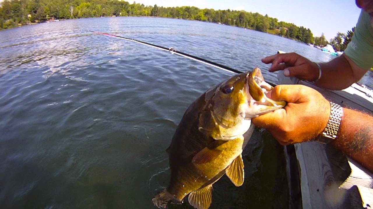 Kids Fishing Licenses in Louisiana: What You Need to Know