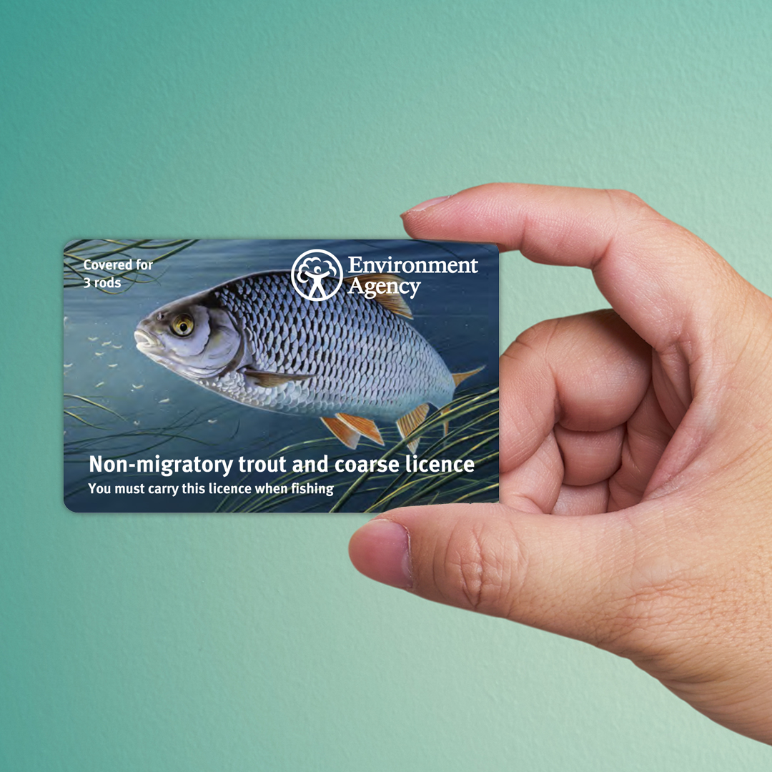 Fishing License & Social Security