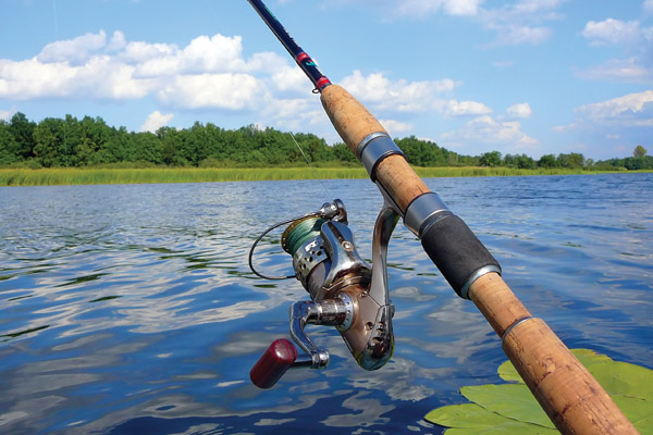 Florida Surf Fishing: Do You Need a License to Cast Your Line?