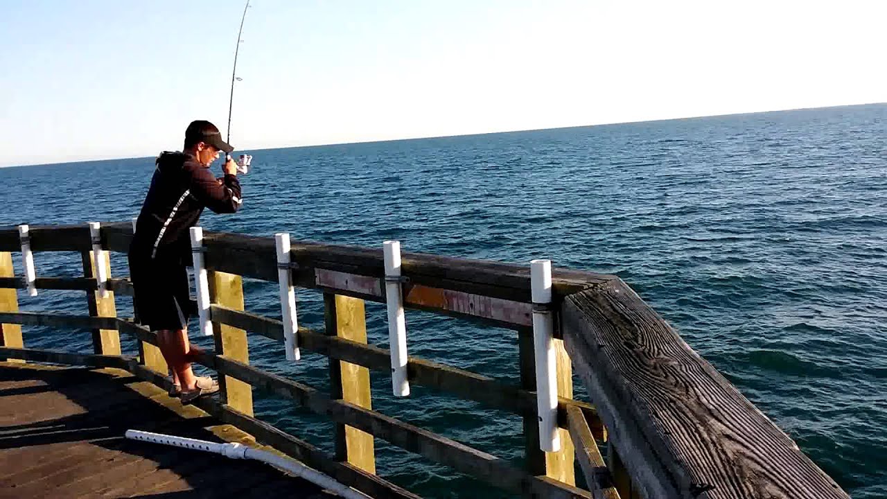 All You Need to Know