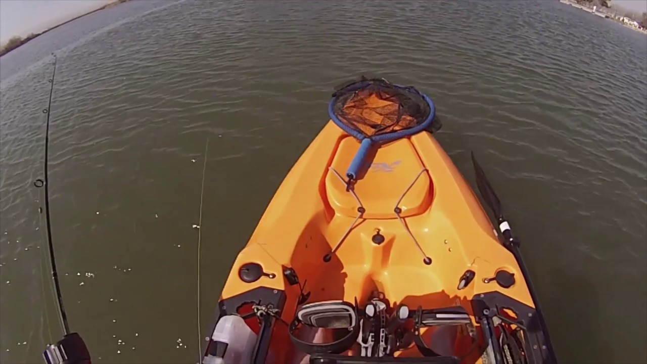 Talk: Can Your Fishing License Reel In the Big Catch Anywhere?