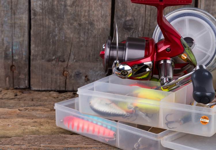 Academy Sports: Your One-Stop Shop for Fishing Licenses