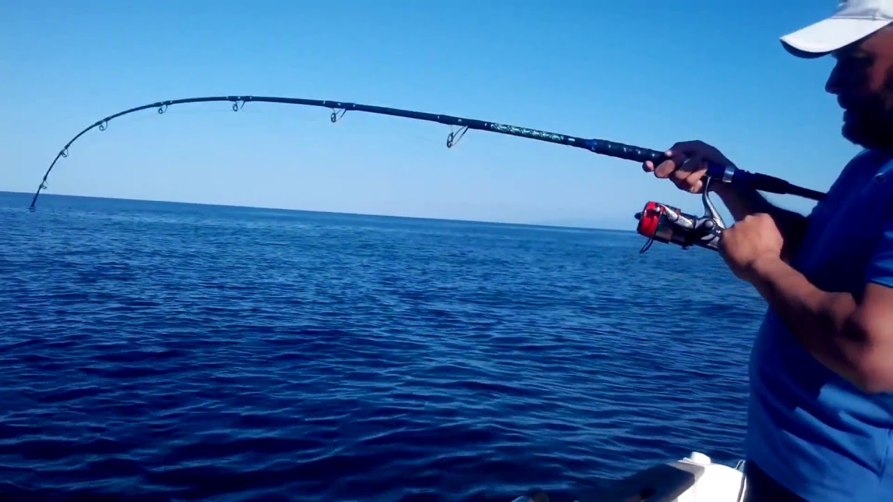 Crabbing in Texas: Regulations, Techniques, and Hotspots