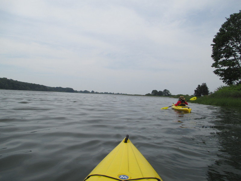 Delaware Fishing License