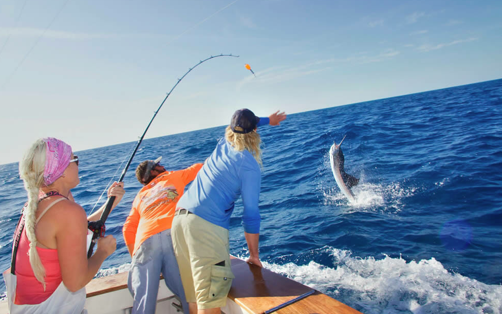 Cost of Your Fishing License Today