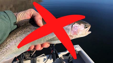 Why Your Fishing License May Be Denied in Washington State
