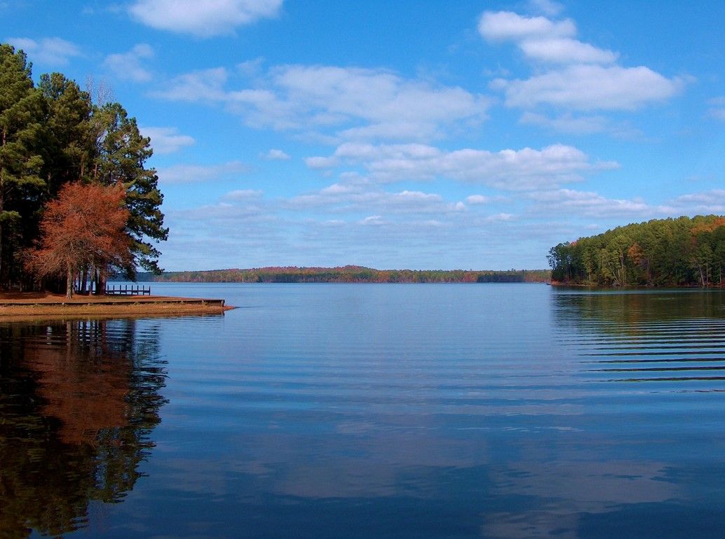Fishing License for Lake Claiborne: Essential Guide 2025