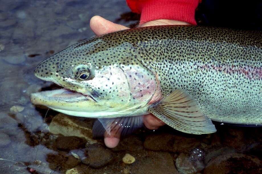 Florida Fishing Licenses in 2025