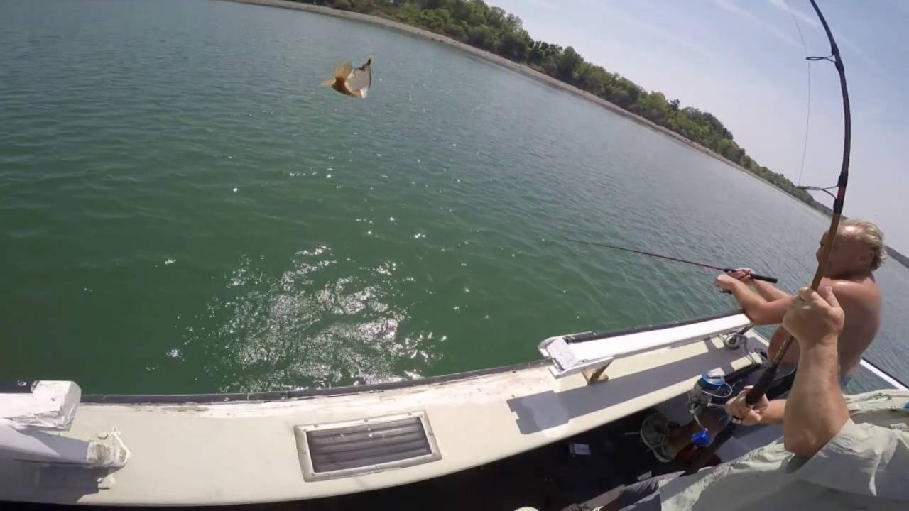 Fishing License at Academy: Hassle-Free!