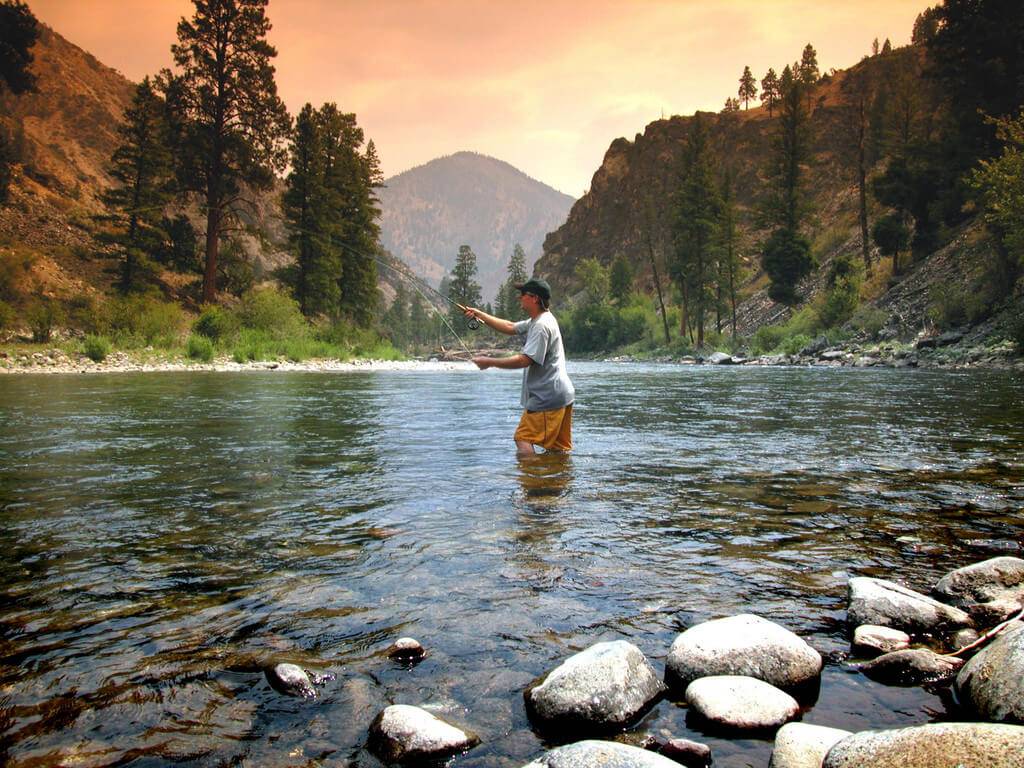 Idaho Fishing License Online Today – Easy and Convenient