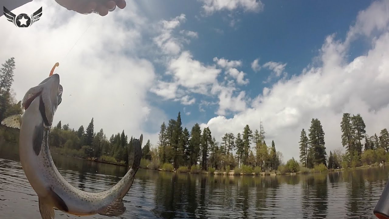 Jenks Lake Fishing: Do You Need a License?