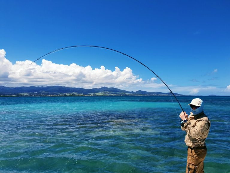 How Much for a Michigan Fishing License?