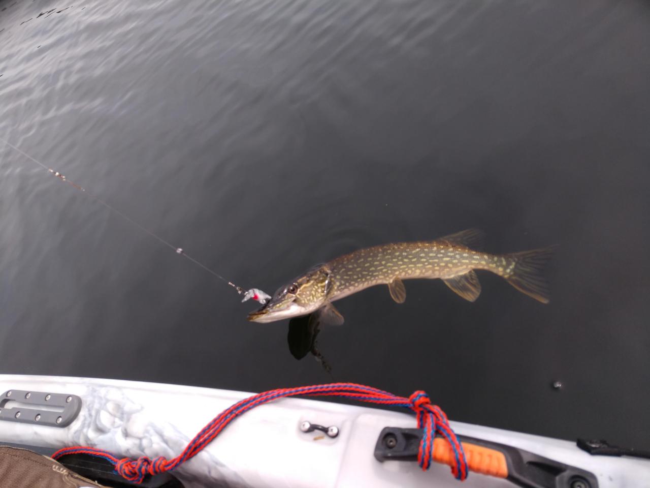 Unlocking the Mystery: The Lowdown on Minnesota’s Code 216 Fishing License