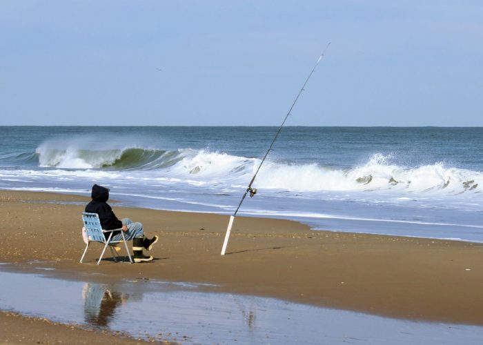 Delaware Fishing Licenses: Costs, Regulations, and More