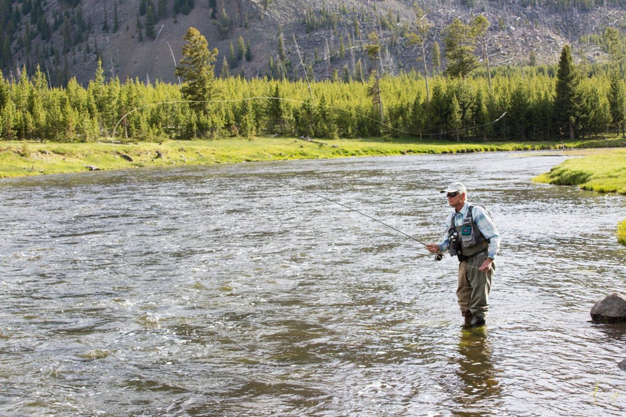 Yellowstone Fishing Licenses & Unforgettable Angling Tips