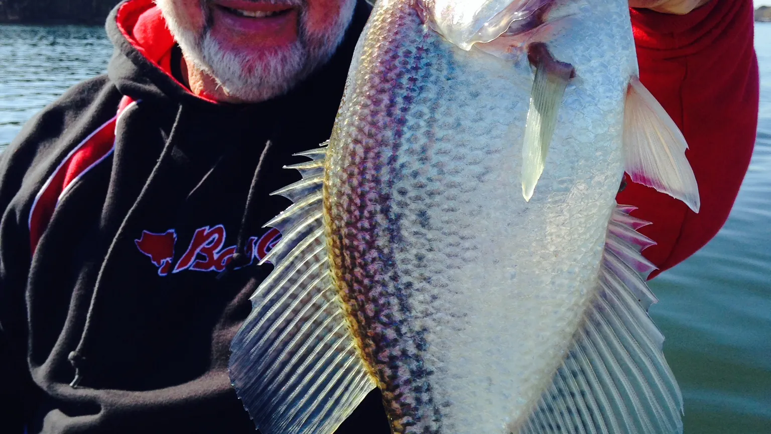 Fishing Trip on Lake Claiborne