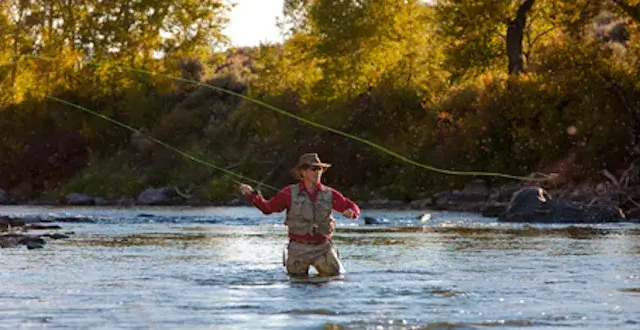 Catch More Fish on the Colorado River in 2024 with These Expert Tips
