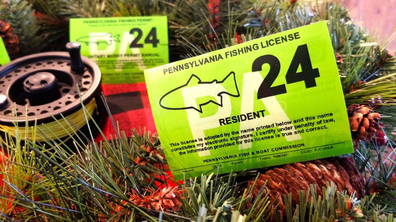 Fishing License in Brodheadsville