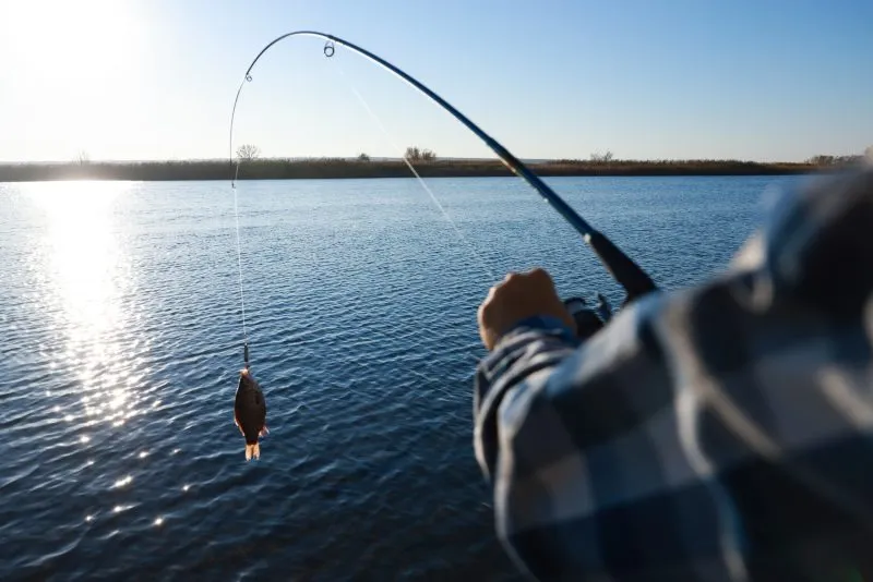Your Guide to Non-Resident Fishing Licenses in NC: Costs and Tips