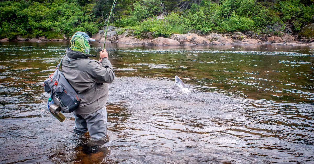 Hassle-Free Steps to Secure Your PEI Fishing License