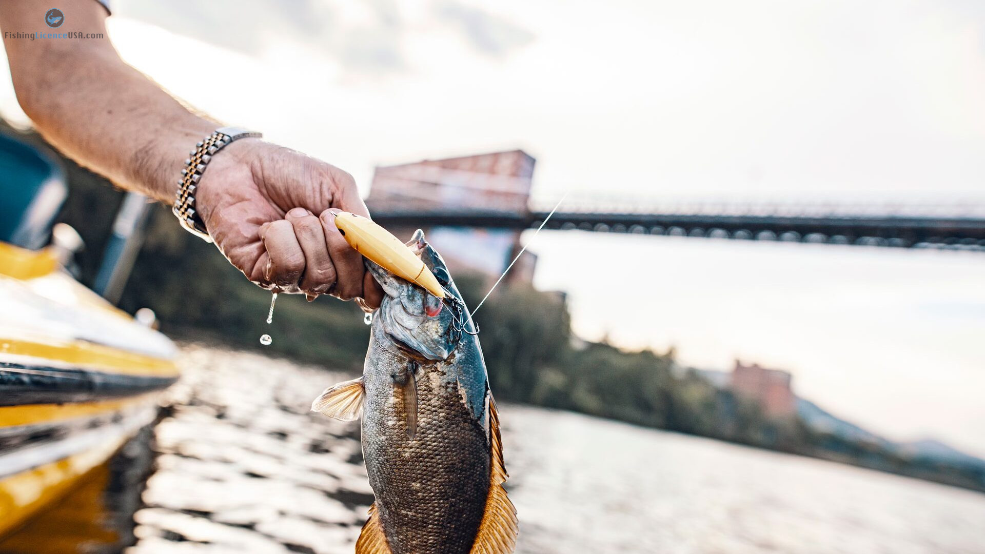 Fishing License Guide for Senior Citizens in West Virginia (2025 Edition)