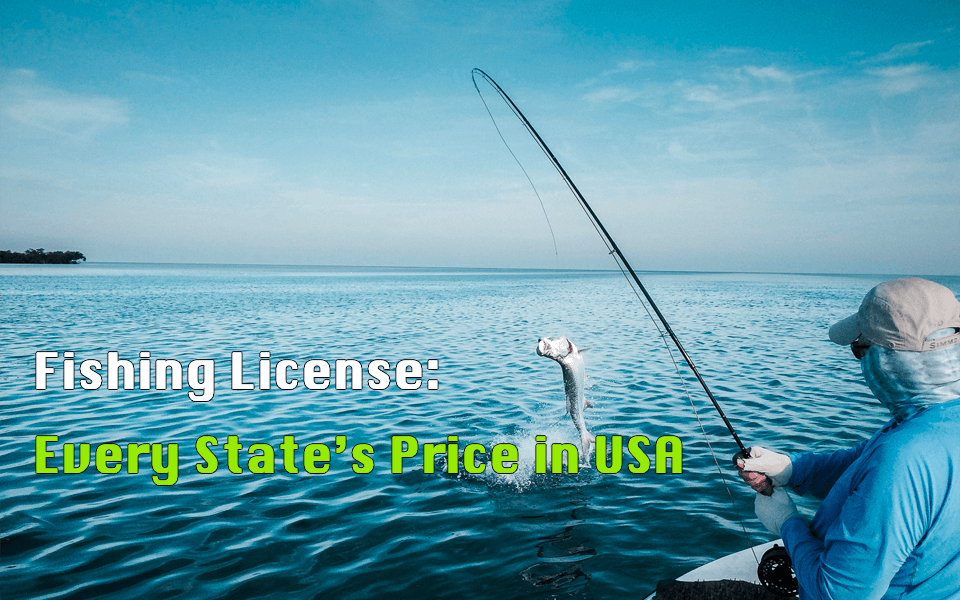Fishing Licence Fees by State: What Changes the Price
